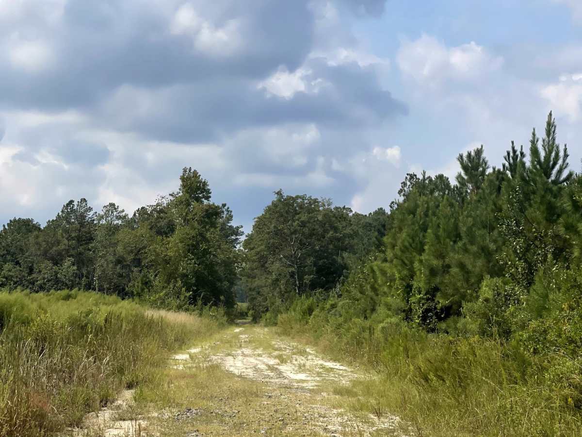 Low Water Bridge  trail photo
