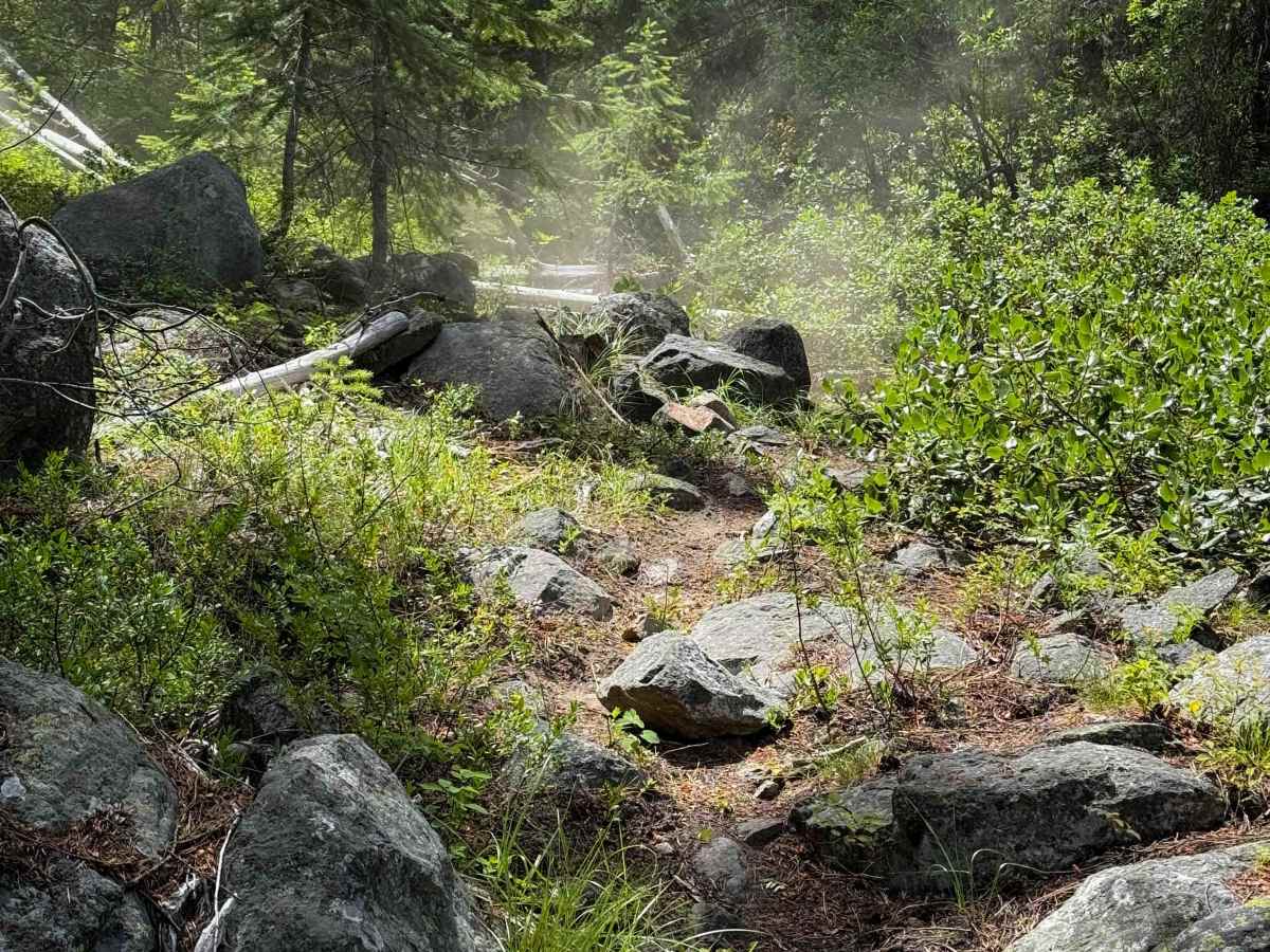 Pasayten Drive - 405  trail photo