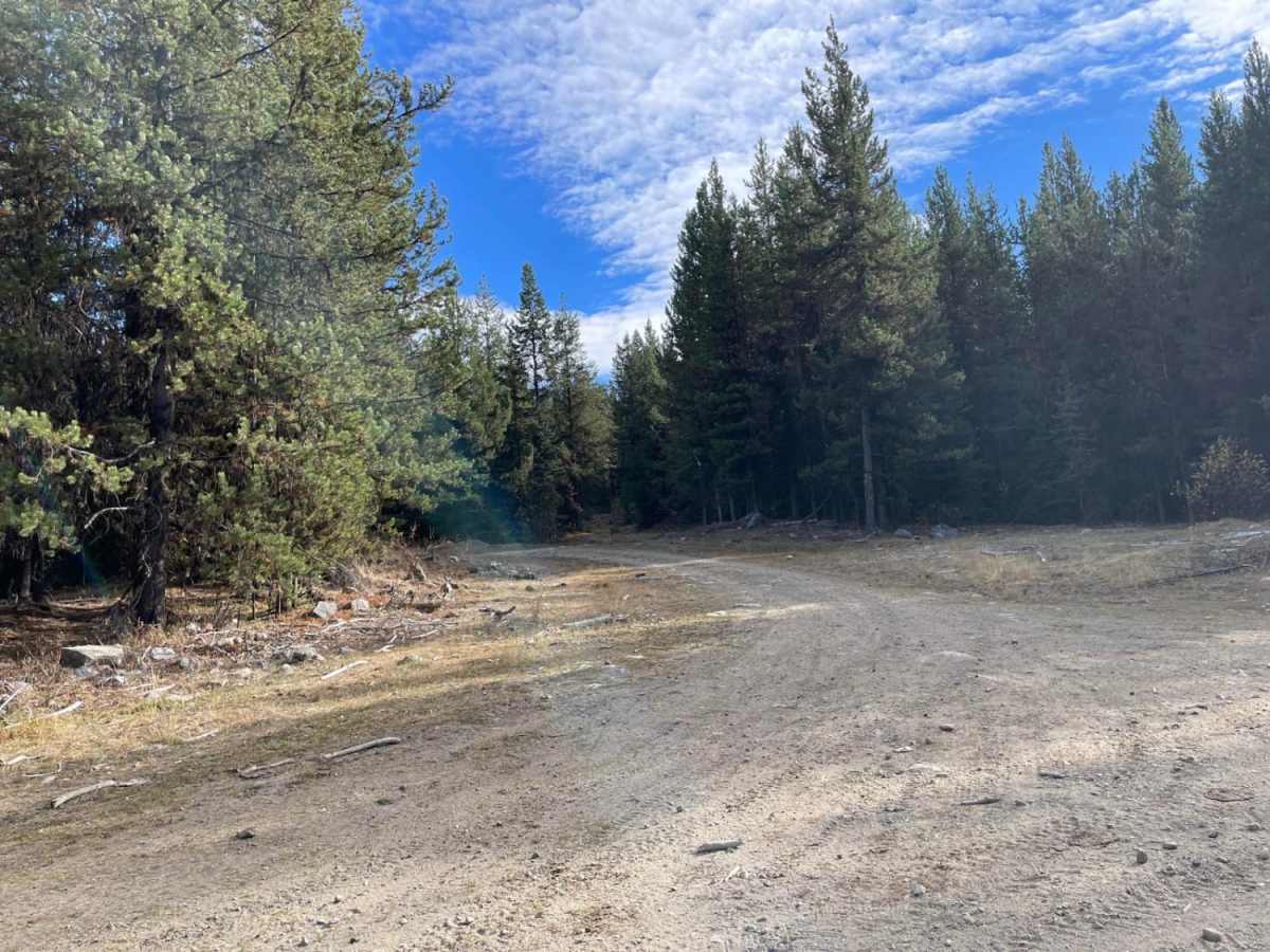 King Eddie Connector Loop photo 2