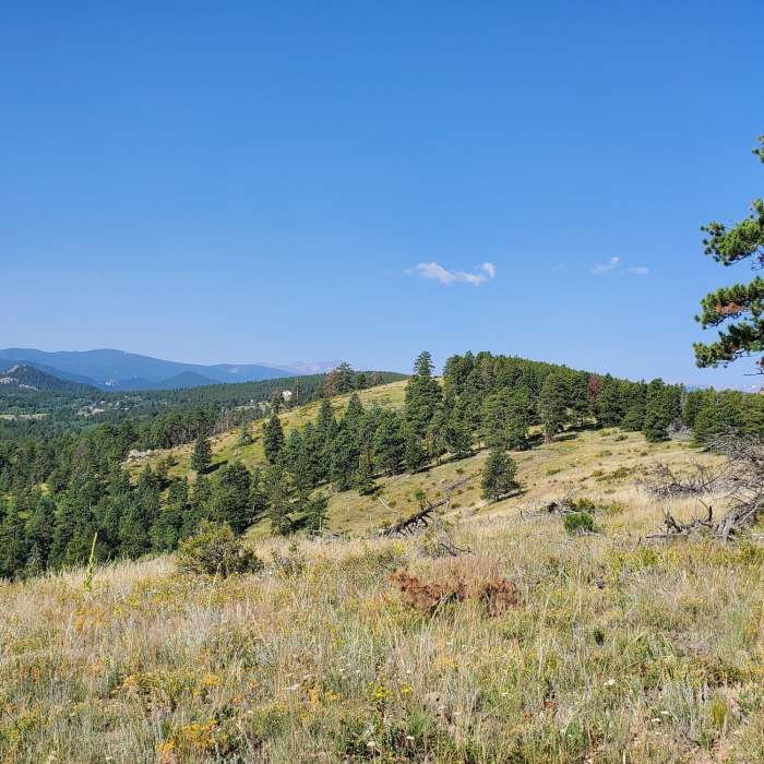 Near Winnegar Ridge Trail #359.1B