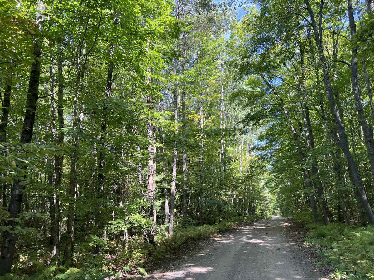 Rat River Road - FS 2134 photo 3
