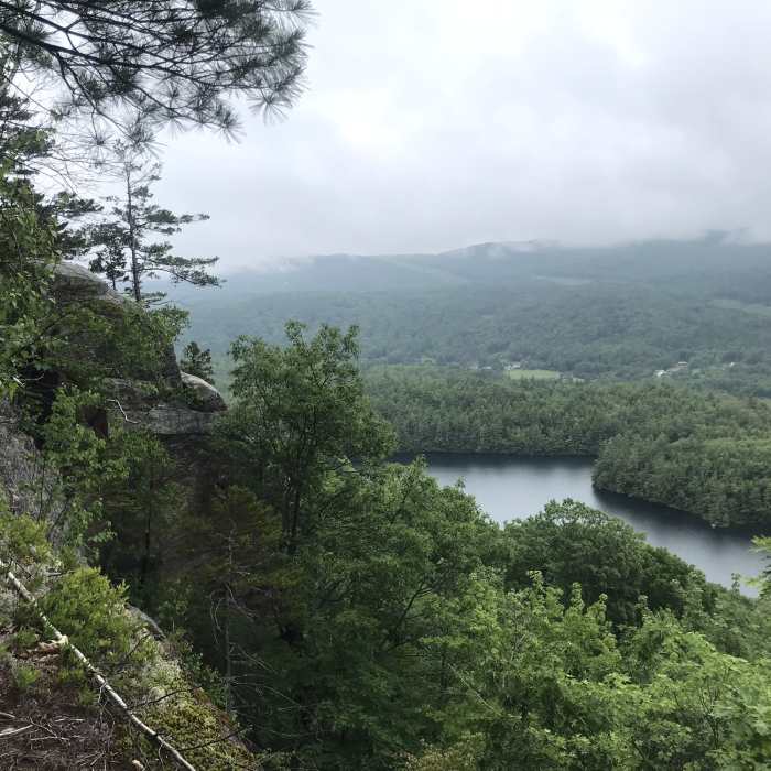 Near Bald Knob Trail