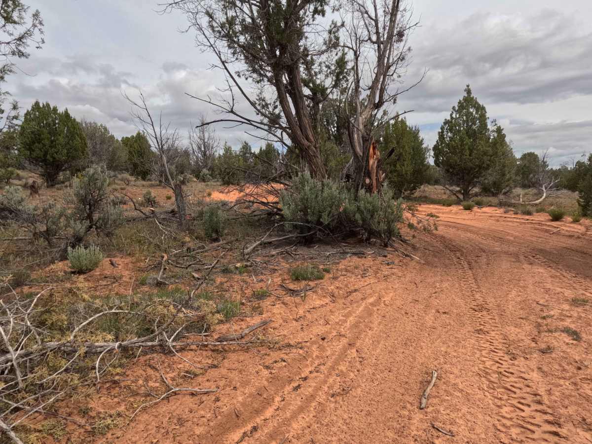 BLM 64X trail photo