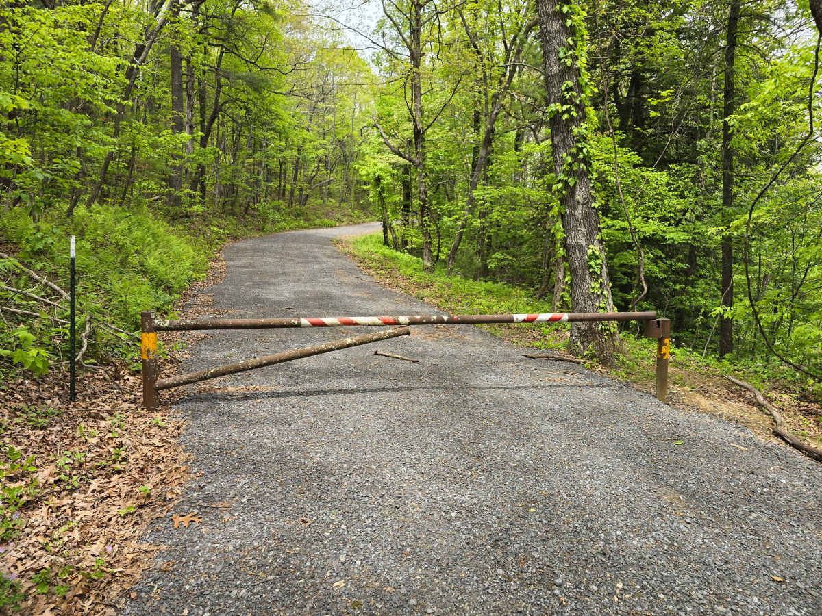 Oswald Dome Road photo 6