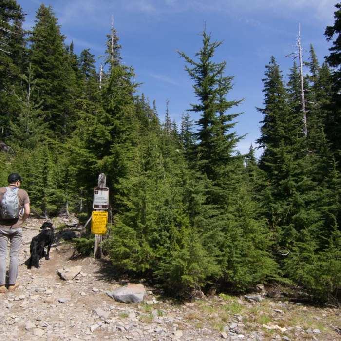 Near Vista Ridge Trail Hike