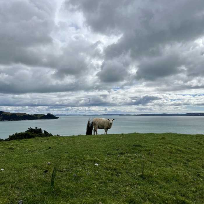 Near Duder Regional Park Loop Near Duder Regional Park Loop