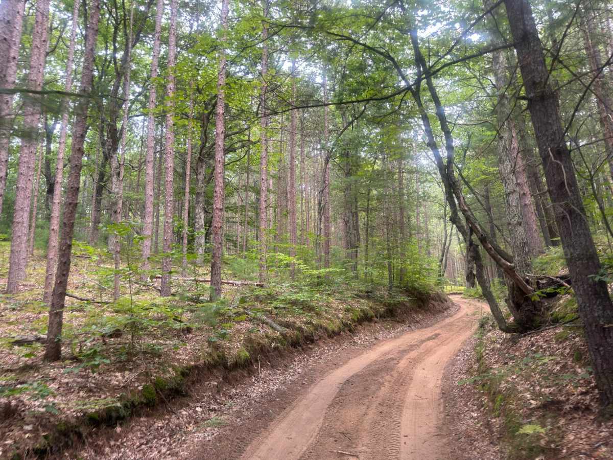 North Slagle Creek Road photo 5