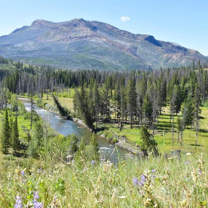 Near The Chinese Wall Loop