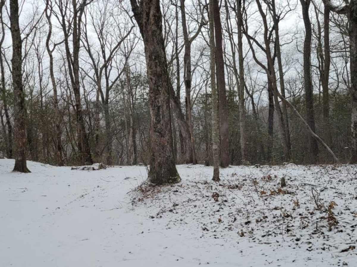 Tray Mountain Trail photo 5