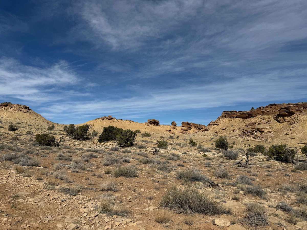Swazys Loop photo 6