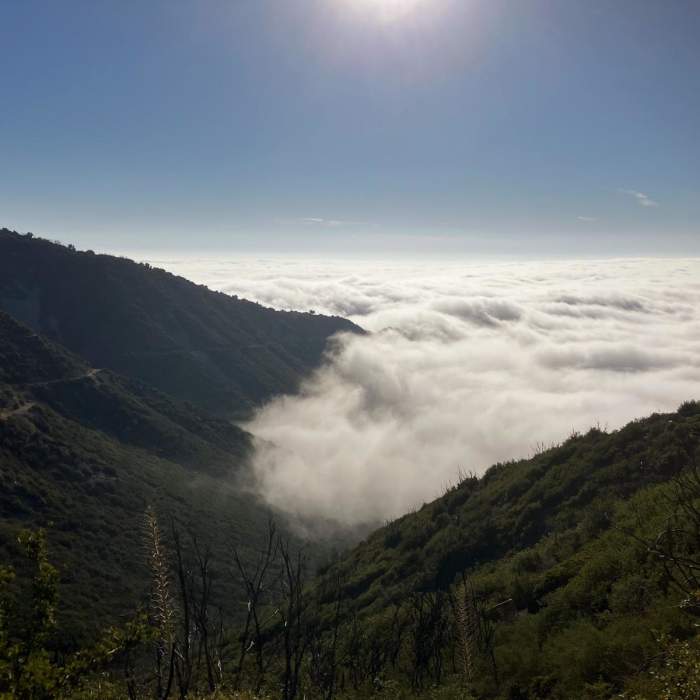 Near San Gabriel Marathon Loop Near San Gabriel Marathon Loop