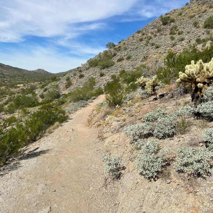 Near Turnbuckle Trail