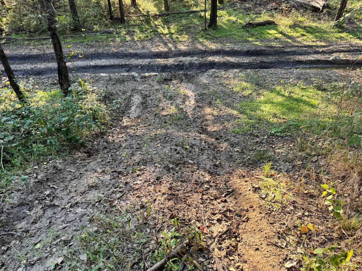 Spool'n Trail photo 2