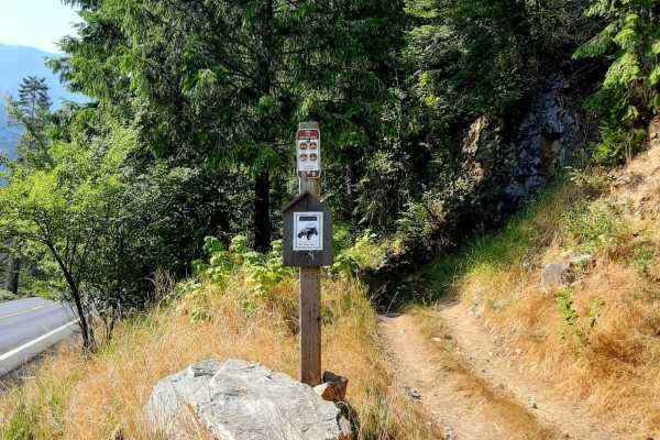 Van Camp trail 16