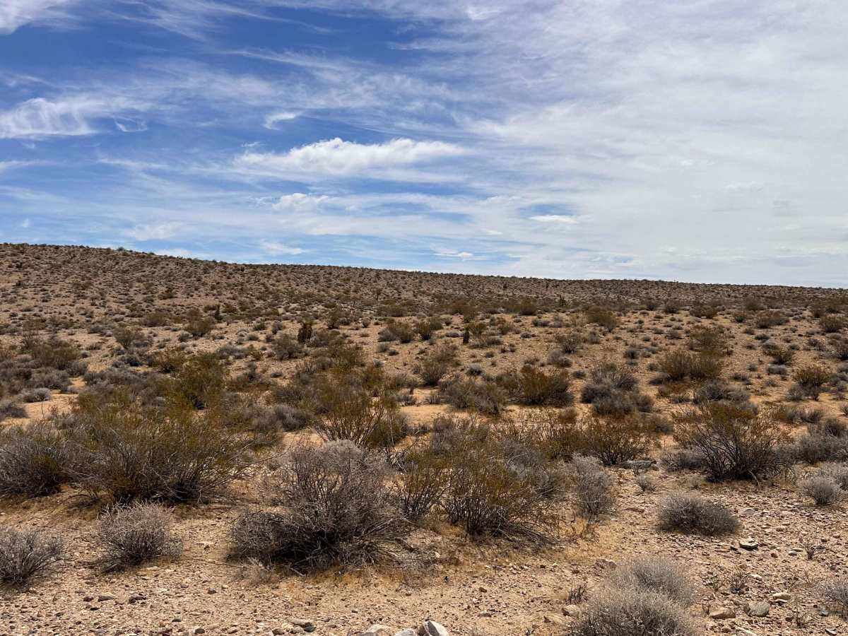 Buckhorn Trail photo 3