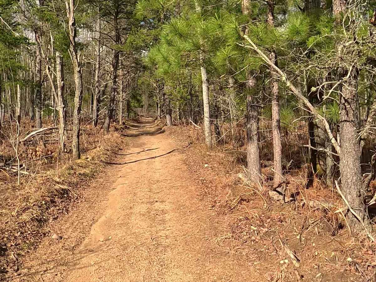 ORV H-57 : Bull Gap Hill Climb - Secondary Return Loop <50" photo 2