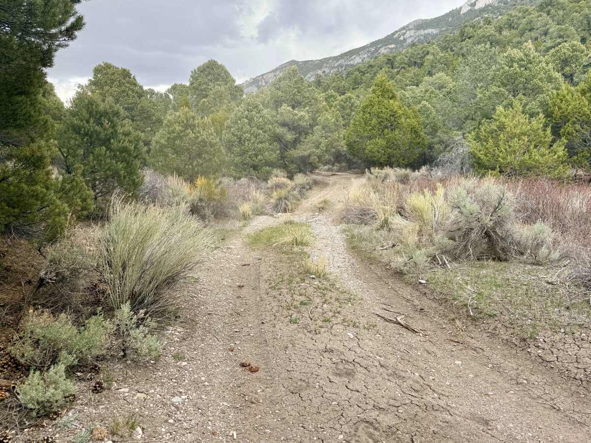 Mcmaughn Canyon Trail photo 3