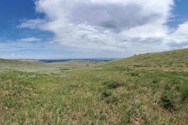 Sheep Mountain