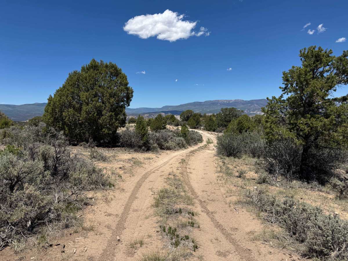 BLM 8477 trail photo