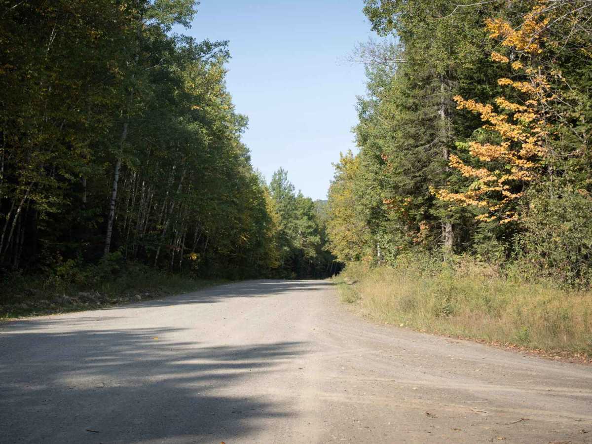 Dalhousie Road photo 6