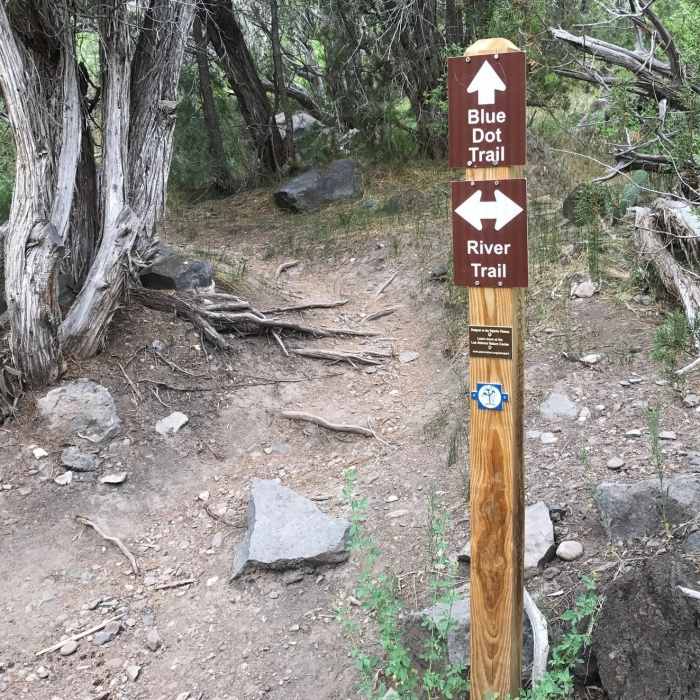 Near Blue Dot Trail