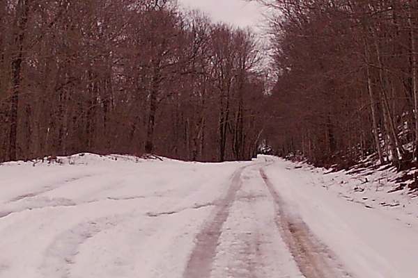 Mountain Spring Road