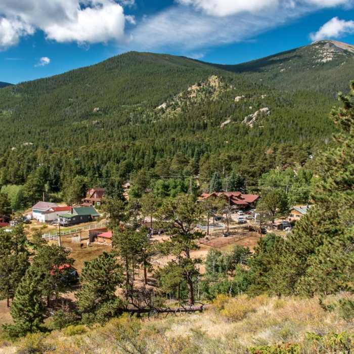 Near Taylor Mountain Trail