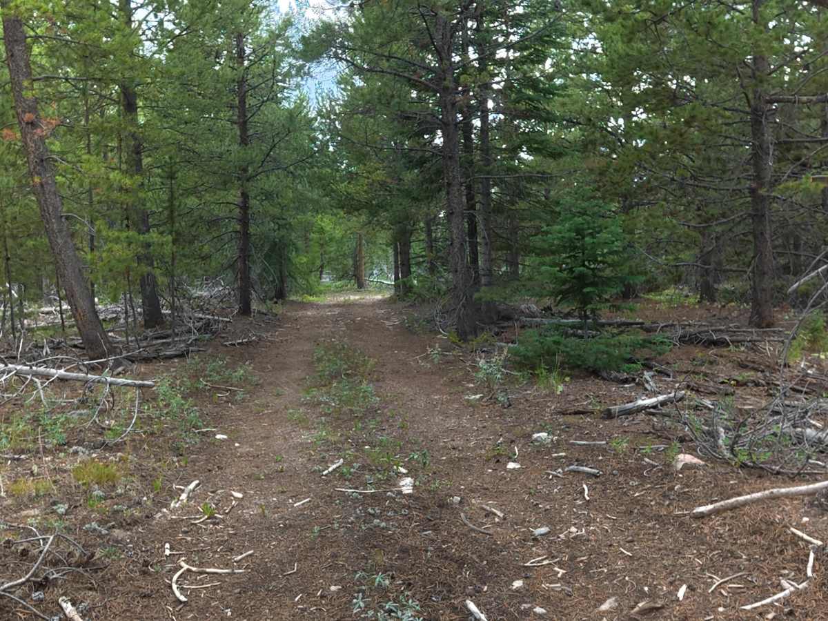 Flat Draw Road trail photo