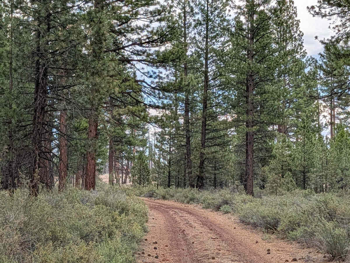 Antelope Well - FS 45N04 photo 4