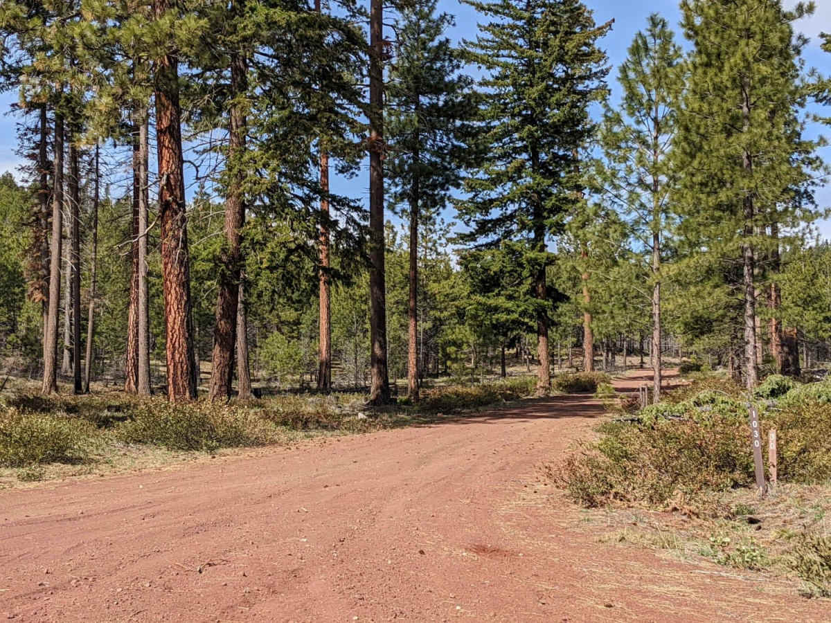 Lower Cross District Trail photo 5