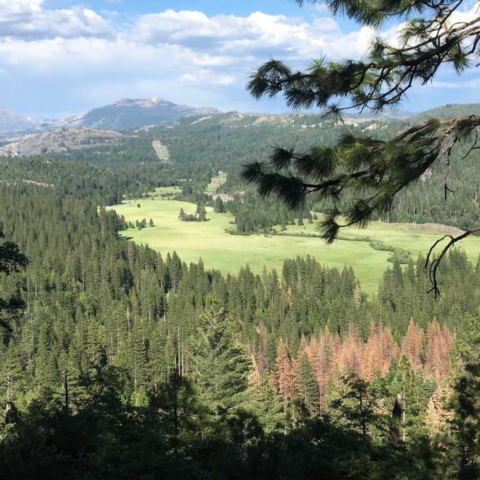 Near Upper Pioneer Trail