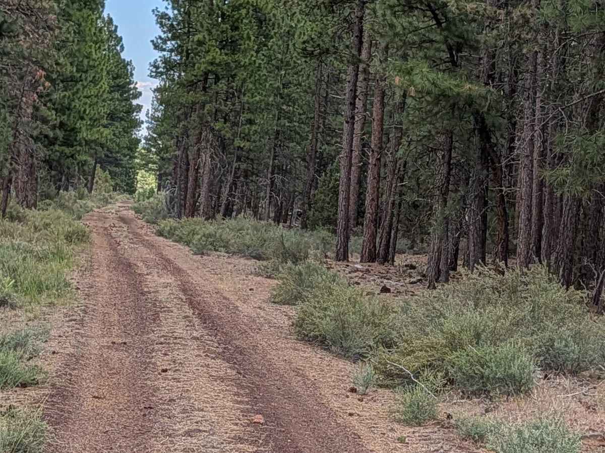 Antelope Well - FS 45N04 trail photo
