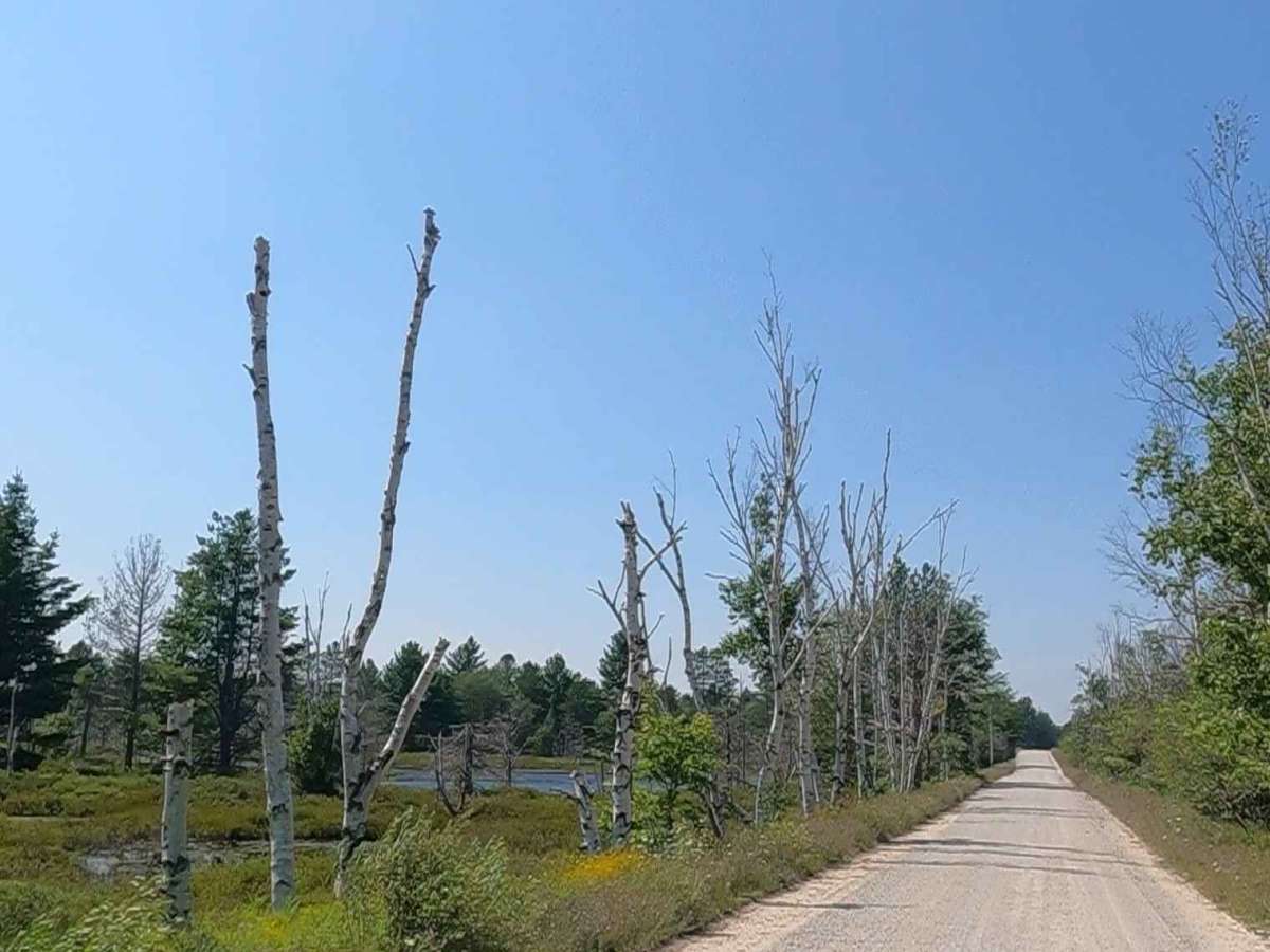 Cataract Road photo 2
