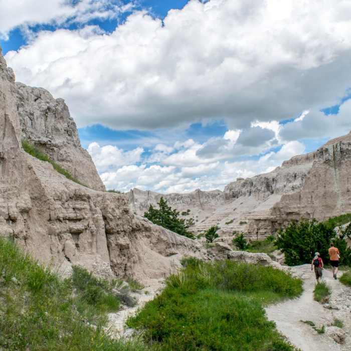 Near Notch Trail Near Notch Trail
