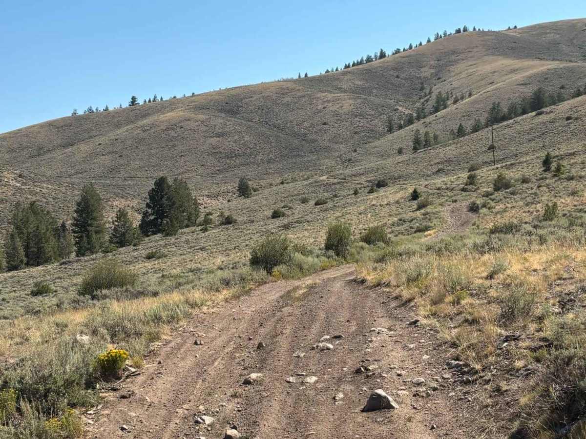 Little Wolford Mountain Access photo 6