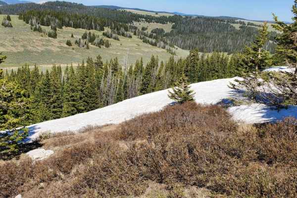 Bald Mountain