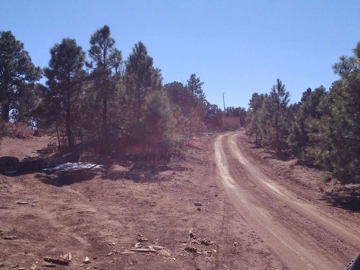 Burleson Ridge photo 4