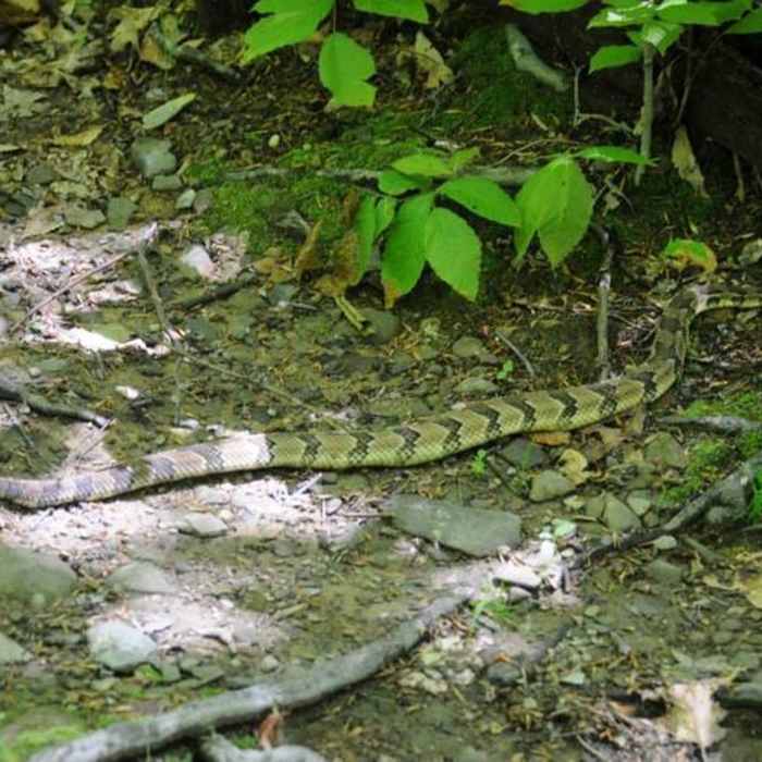 Near Bear Mountain-Harriman Loop