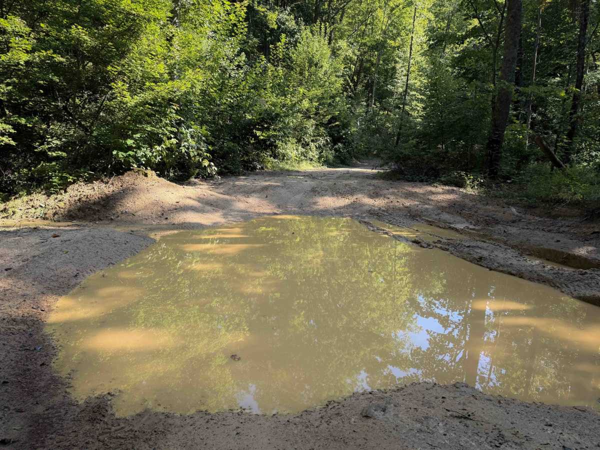 Louse Creek Trail 20  photo 3