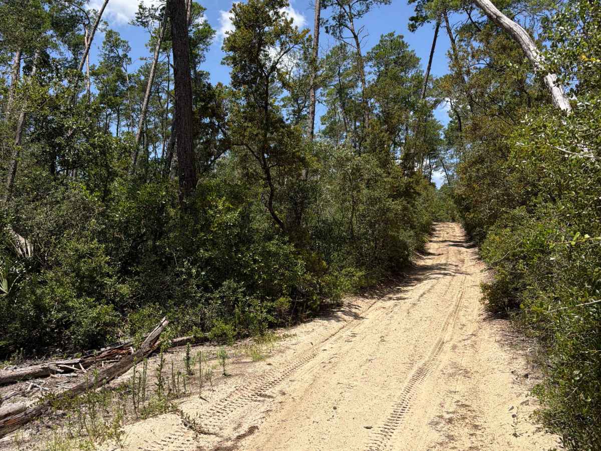 FS 30-5.3A trail photo