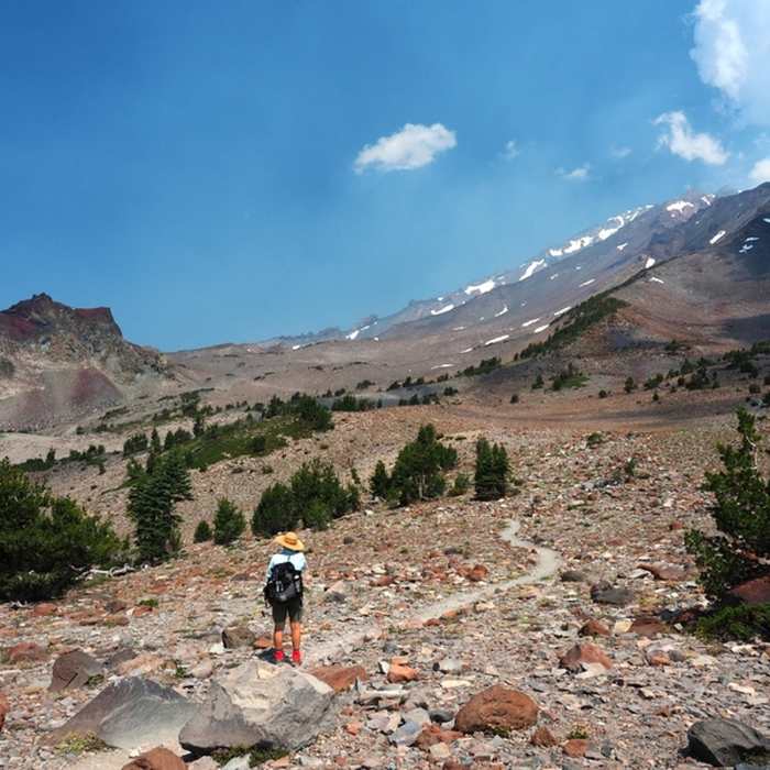 On the divide above the Old Ski Bowl. Near South Gate Meadows Trail