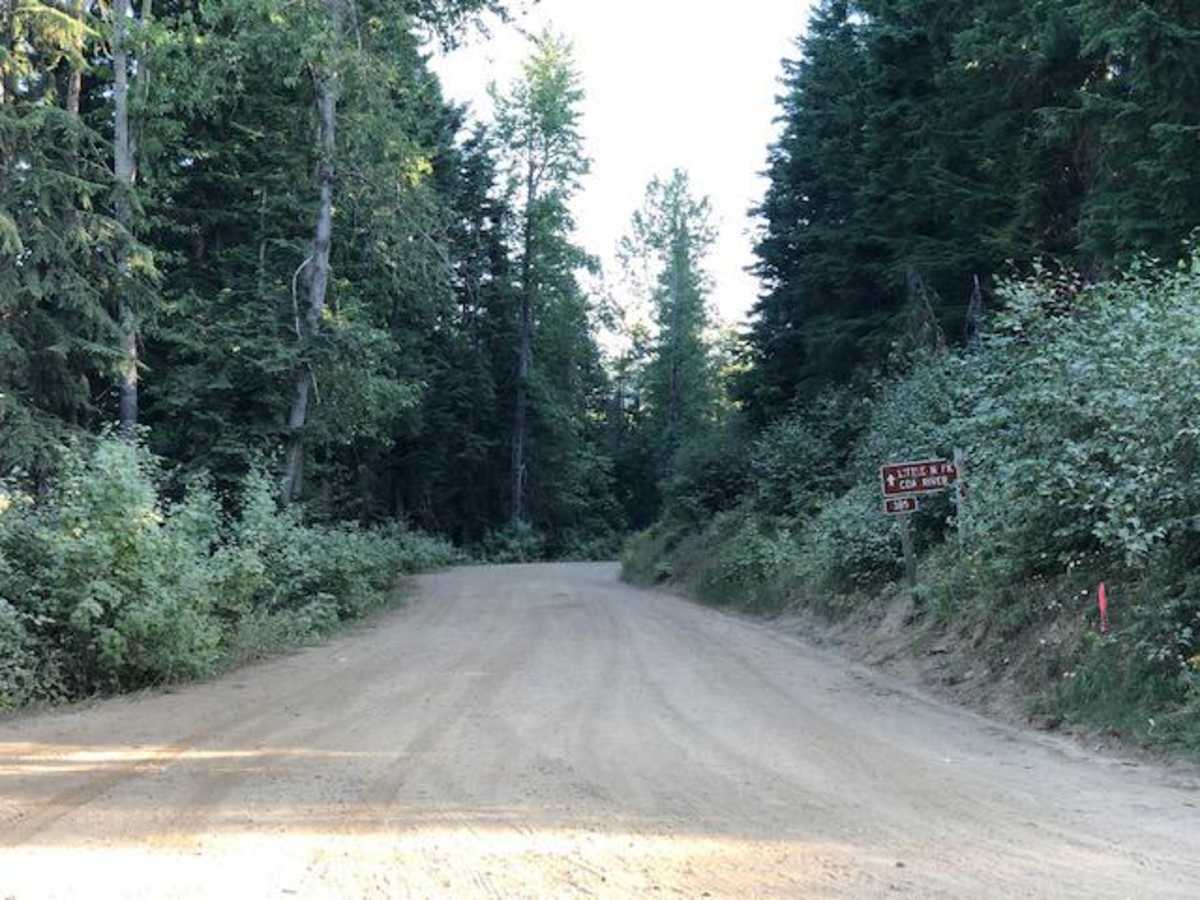 Johnson/Lakeview Rd. #278 trail photo
