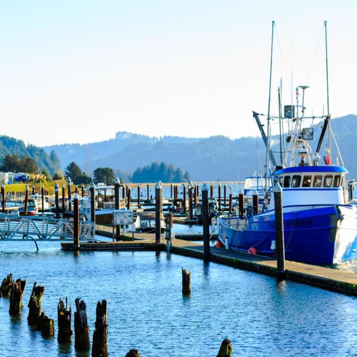 Near Oregon Coast Trail Section 6