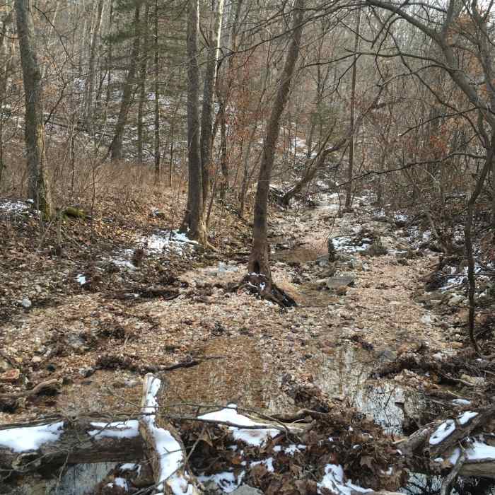 Melting snow along Turkey Pen Hollow Trail. Near Turkey Pen Hollow Trail