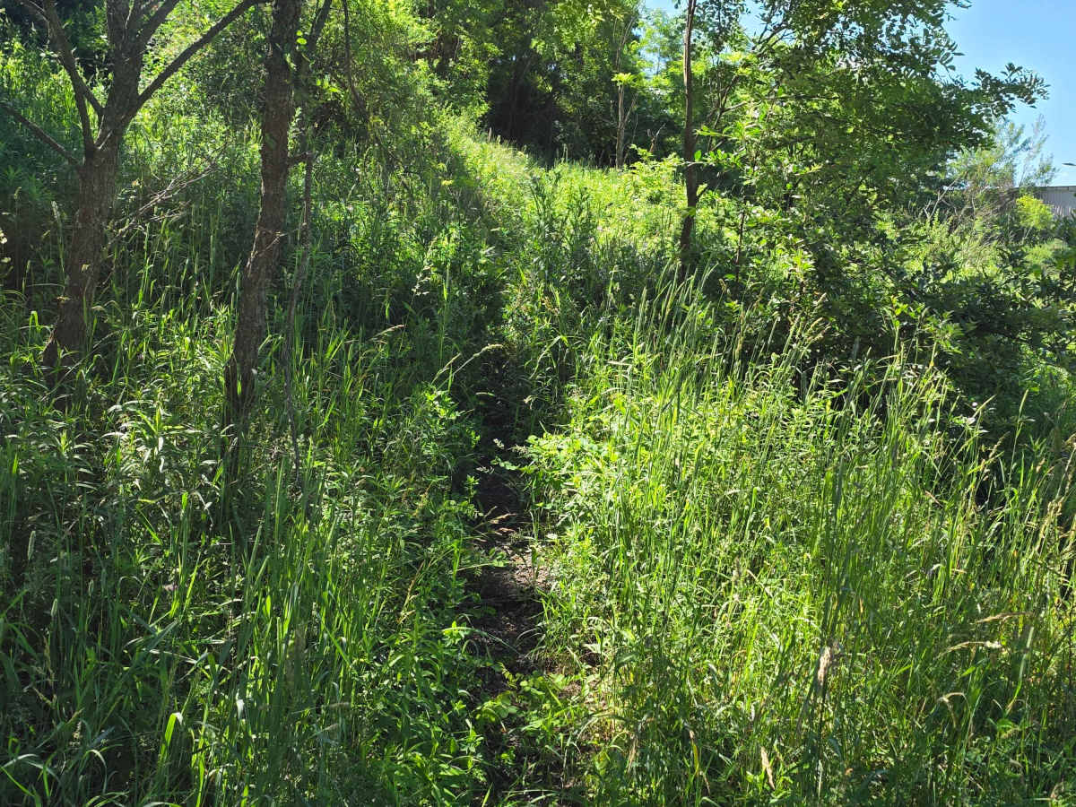 Single Track W trail photo