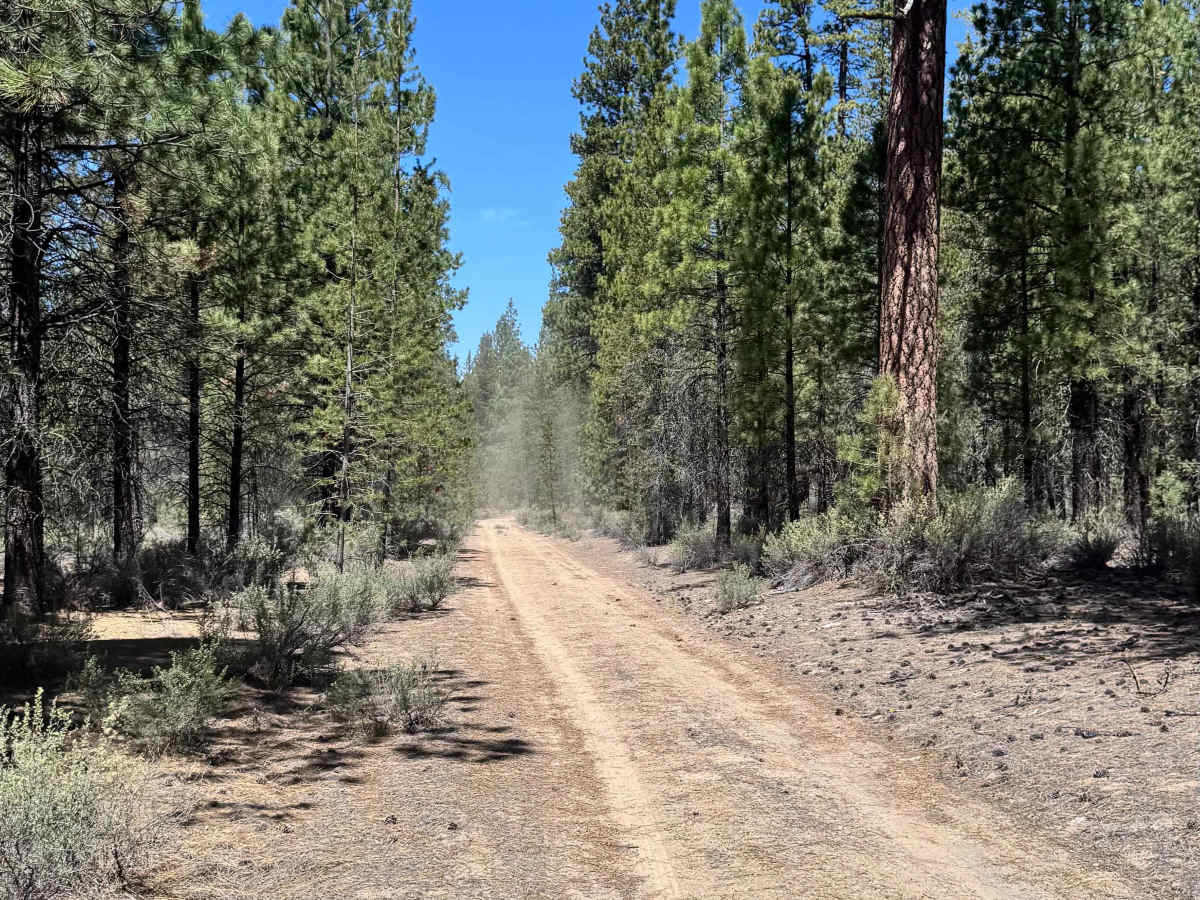 Dry Springs Trail - FS 4331000 photo 6