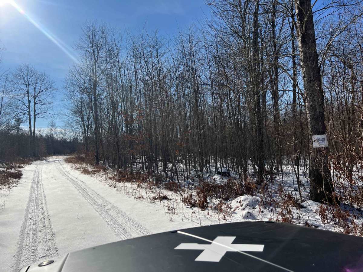 Shirk's Run Trail trail photo