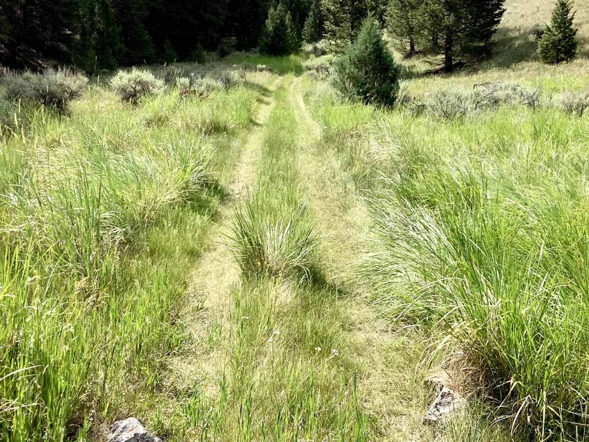 Van Dorn Canyon Trail photo 4