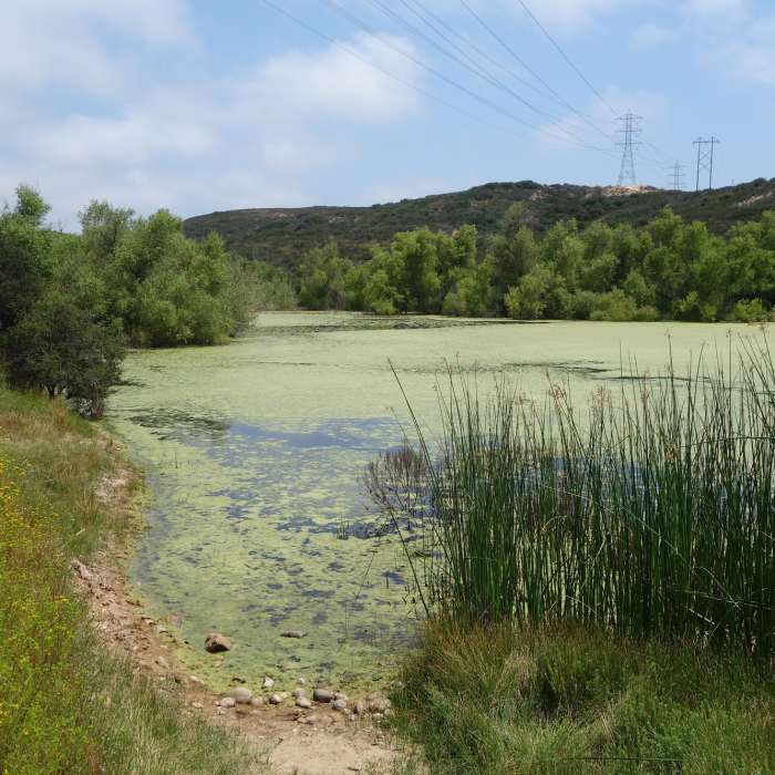 Near Duck Pond Connector Trail