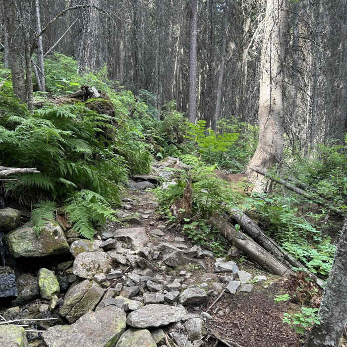 Near Little Rock Creek